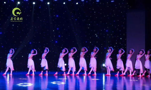 春苗舞蹈藝術(shù)節(jié)首屆基本功展示今天下午1 00在婺城區(qū)文化館拉開序幕